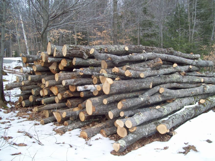 How Much Is A Pickup Truckload Of Cord Of Wood?