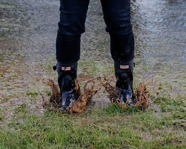 6 Smart Ways To Prevent A Soggy Yard With Every Rain Shower