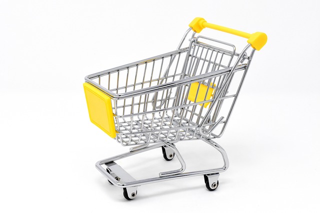 Best Ergonomic Shopping Trolley
